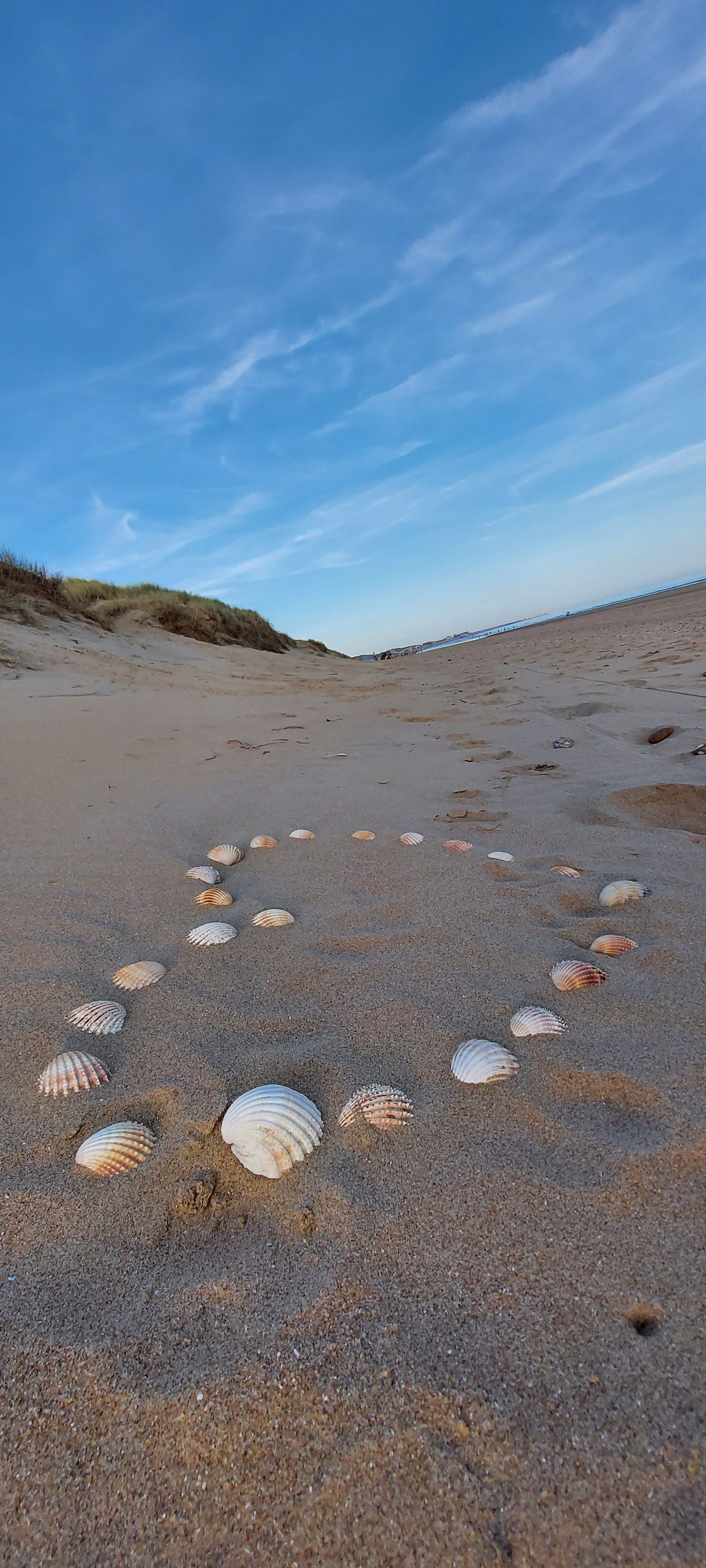 URCHIN Jewellery-'Phat' Urchin Logo Ring. Solid Silver. Hallmarked. Custom Sizes Available. Hand Made in the UK.